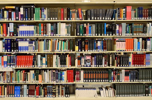 Consultant en assurances : toutes les informations utiles sur ce professionnel